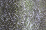 Pilton fibreglass roof work